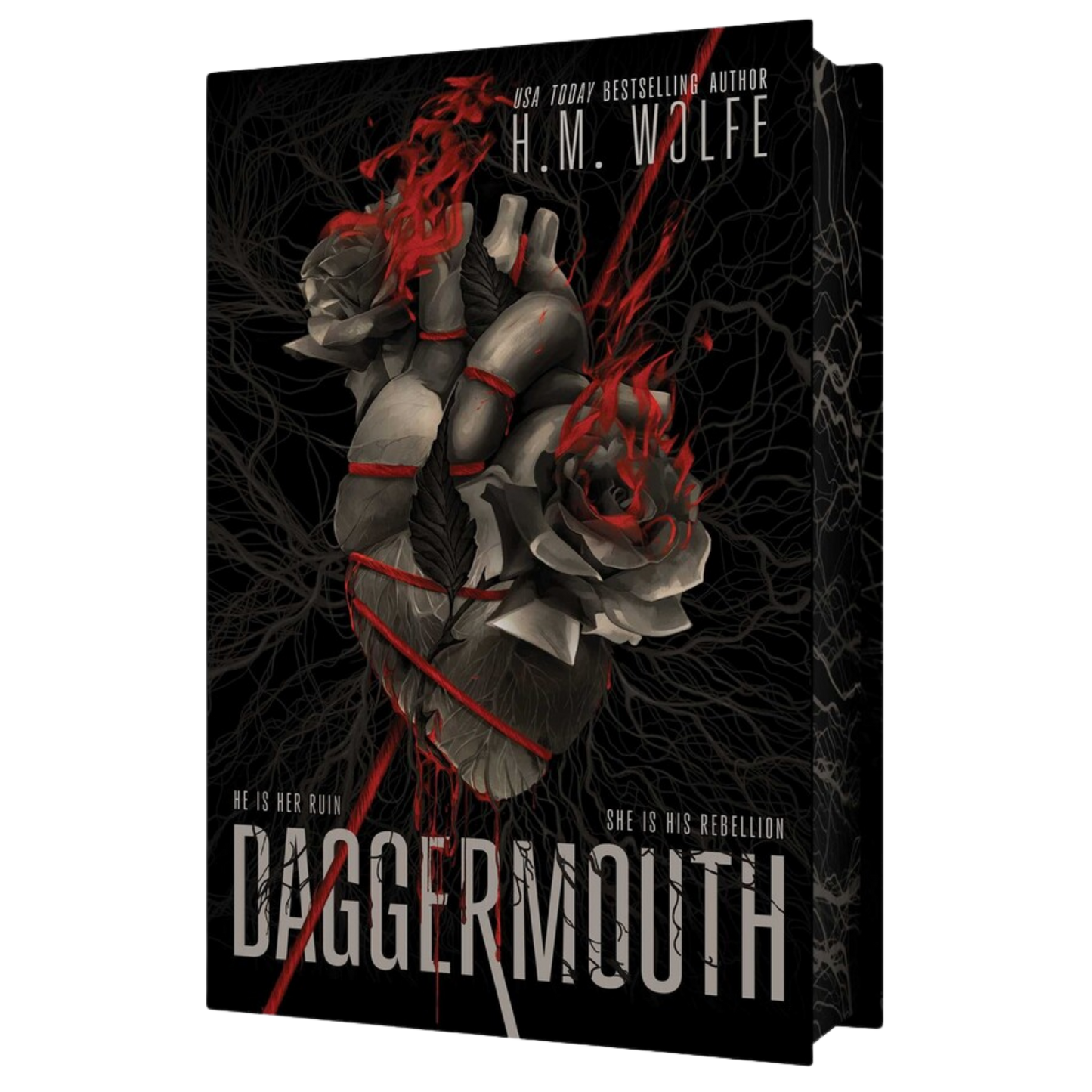 The book cover of 'Daggermouth' by H.M.