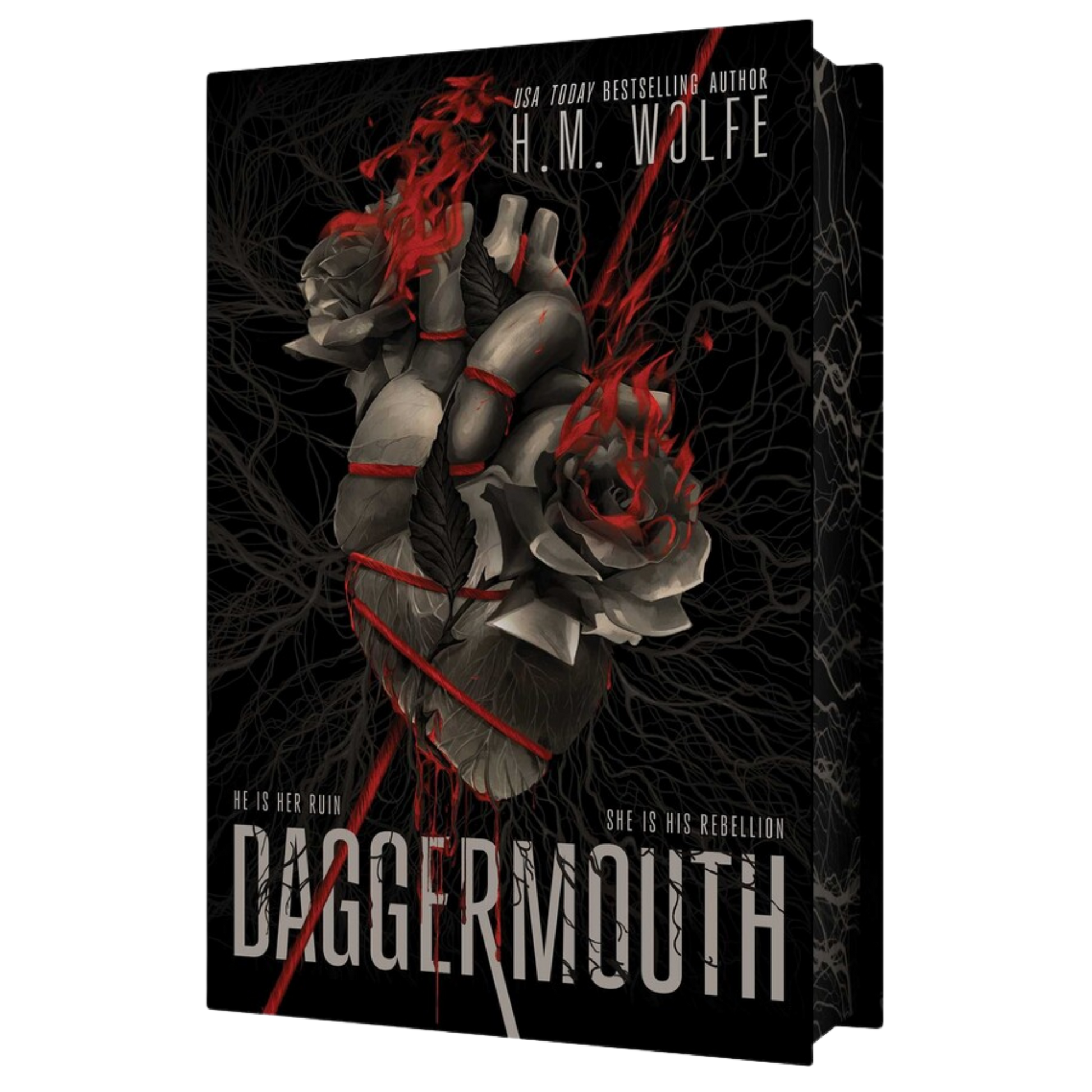 The book cover of 'Daggermouth' by H.M.
